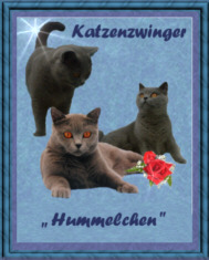 Banner des Katzenzwinger Hummelchen